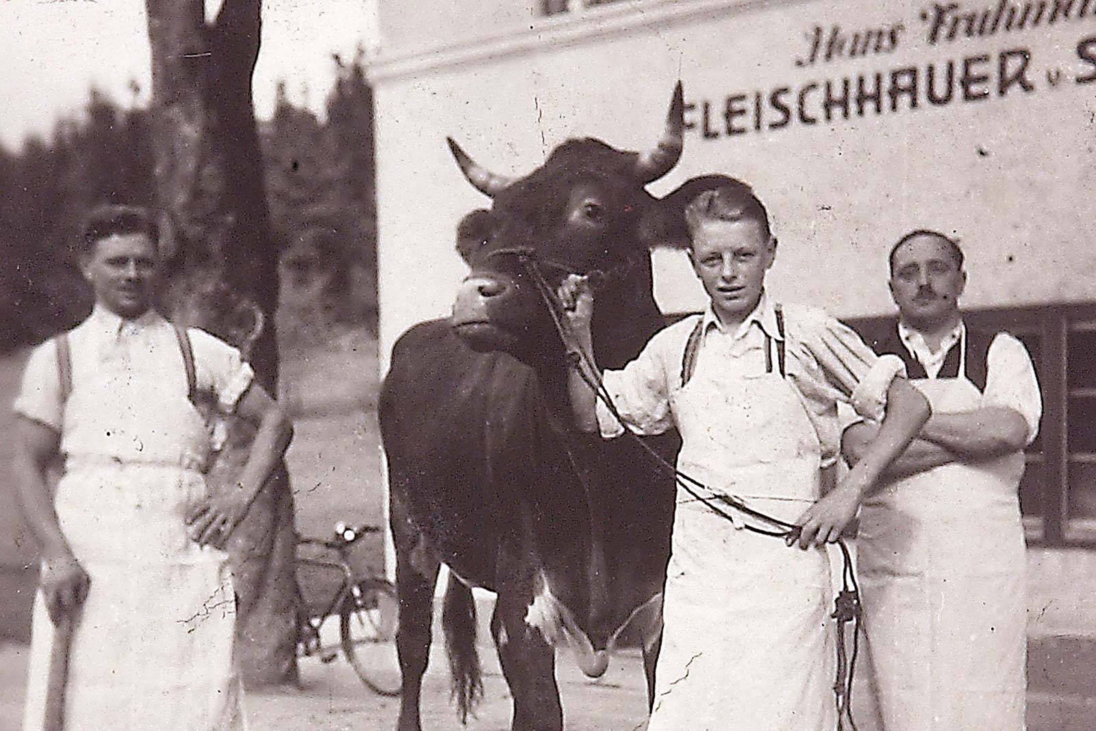 Altes Foto von Fleichermeister mit Gesell und Kuh